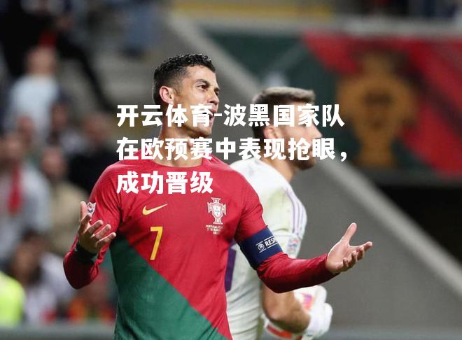 波黑国家队在欧预赛中表现抢眼，成功晋级